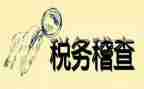 稽查工作总结范文5篇