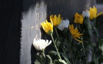 清明祭奠英烈活动总结8篇