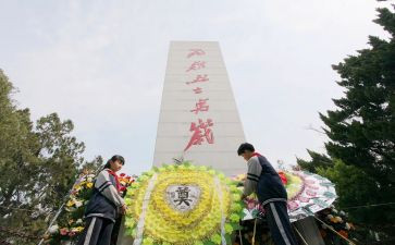 清明节祭烈士作文6篇