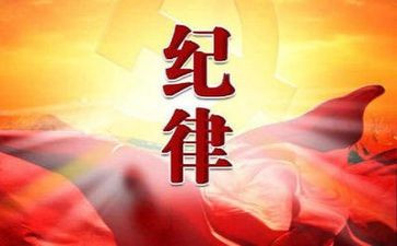 纪律部年度工作总结5篇