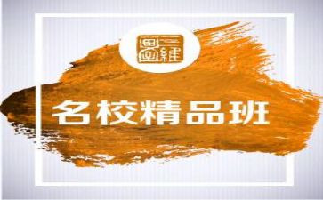 美术精品班教学计划5篇