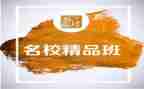美术精品班教学计划5篇