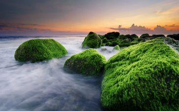 写冬天景色作文7篇
