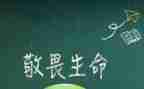 敬畏生命珍爱生命演讲稿7篇