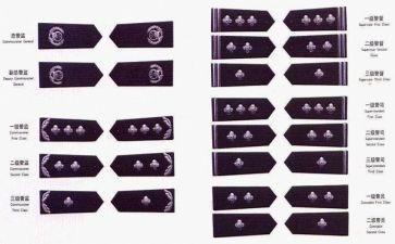 授警衔工作总结6篇