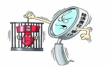 经责审计年度工作总结7篇