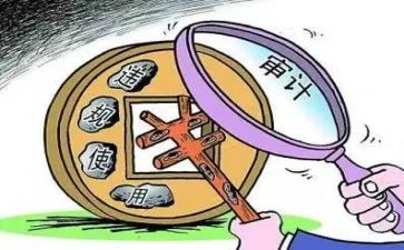 经责审计年度工作总结优秀6篇