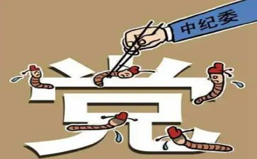 区纪委办公室工作总结7篇