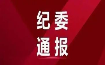 2023乡纪委工作计划8篇