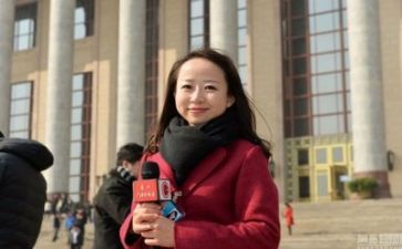 新闻记者工作总结2022精选8篇