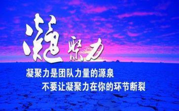 团队凝聚力的心得体会范文6篇