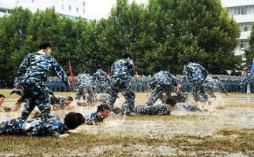 军训总结报告8篇