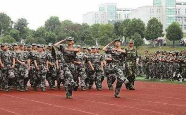 军训对工作总结通用8篇