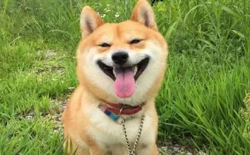 我开心的事作文400字7篇