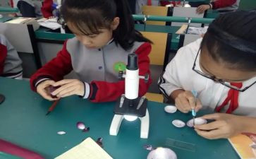 科学课教学总结7篇