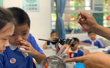 科学课教学计划最新5篇