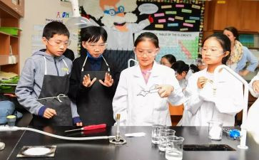 小学科学课调查报告8篇