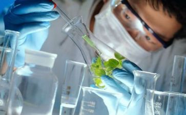 年终科研工作总结报告7篇