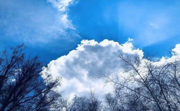 空气教案6篇