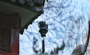 苦与乐材料作文推荐7篇