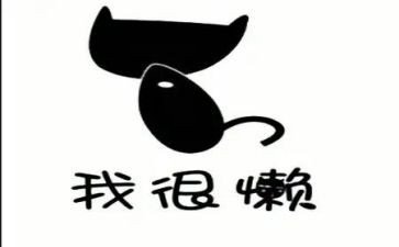 我的懒老师作文500字精选6篇