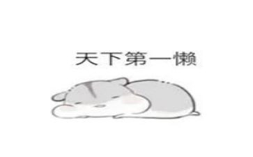 很懒的我作文500字优秀6篇