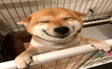 读书的乐趣作文500字8篇