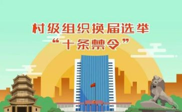 村两委会工作报告6篇