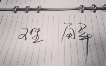 理解作文推荐5篇