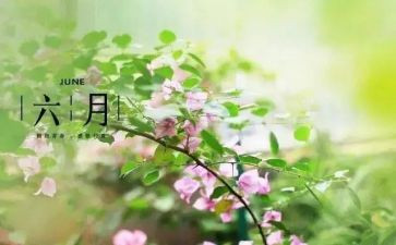 小小班六月份工作总结5篇