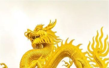 龙舟赛上领导的讲话稿8篇