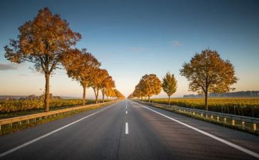小班安全过马路安全教案7篇