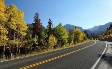 道路交通安全主题班会教案6篇