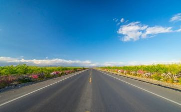 道路安全体会心得参考5篇