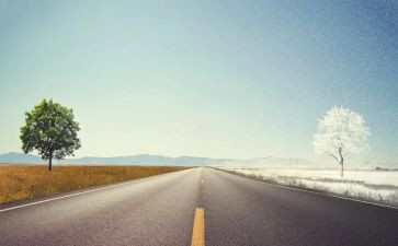 道路交通安全教育主题班会教案5篇