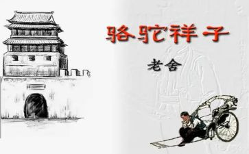 跳骆驼教学反思6篇