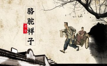 骆驼与狗作文参考8篇