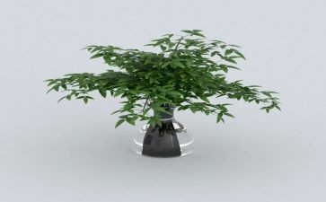 绿色环保的心得7篇