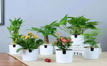 绿野读后感推荐8篇