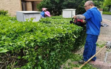 绿化所年度总结8篇