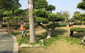 绿化工下年度工作计划5篇