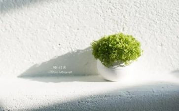 慢慢的成长作文5篇