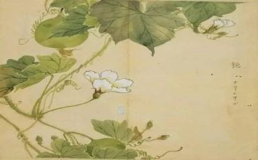 《氓》教案及教学反思8篇
