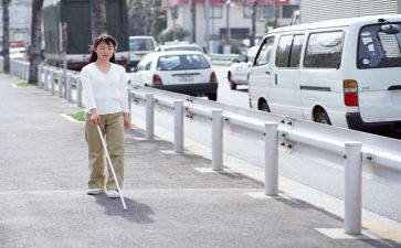 国际盲人节活动方案7篇