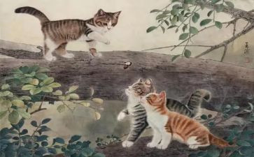 画熊猫的教案5篇