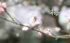 观看张桂梅先进事迹心得体会6篇
