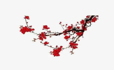 《梅花魂》教学反思6篇
