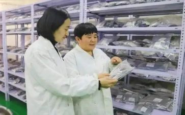 蒙医师工作总结7篇