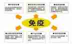 免疫规划科工作总结8篇