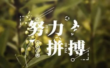 英语名人的作文8篇